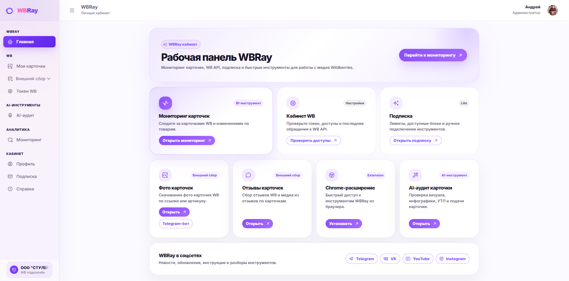 Скрин личного кабинета WBRay с историей запросов и WB API